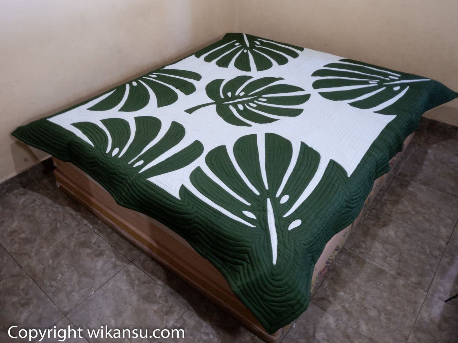 Tom Thumb Color Monstera Leaves