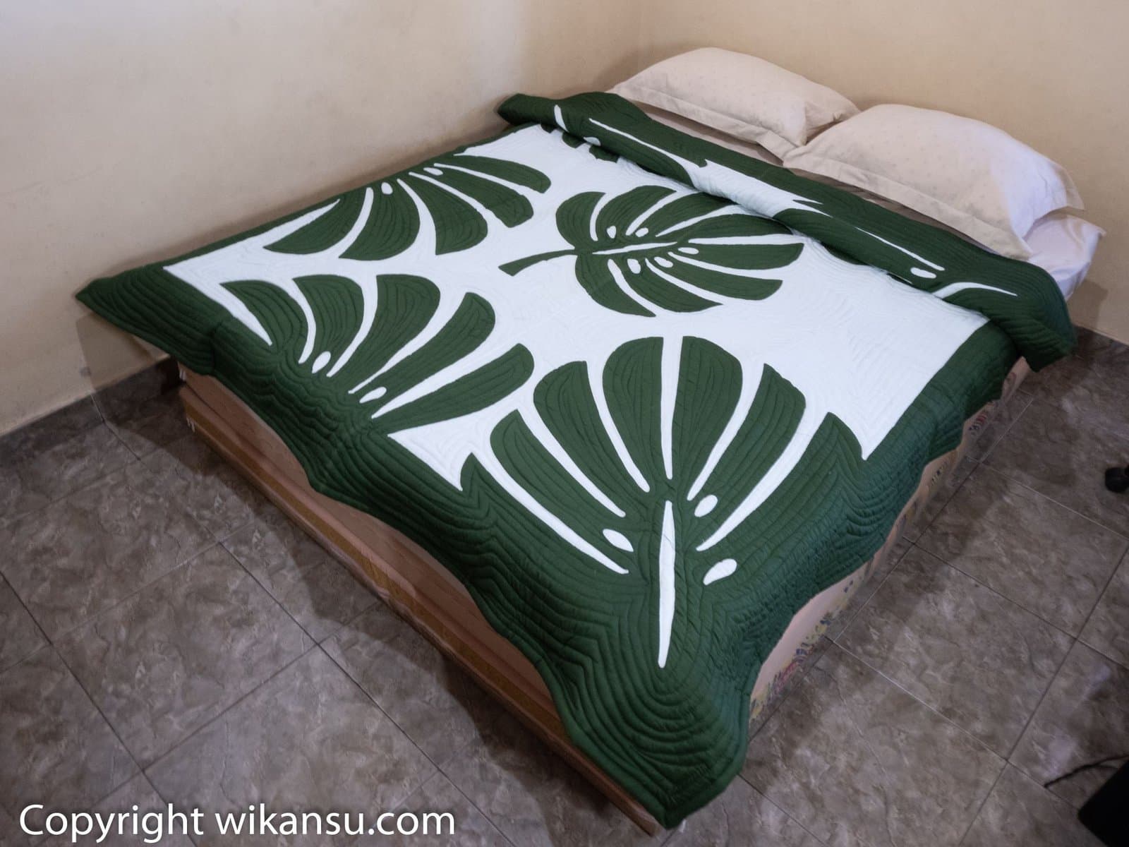 Tom Thumb Color Monstera Leaves